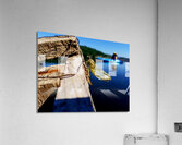 Emerging Dragonfly Acrylic Print