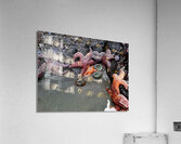 Tidal Pool 4 Acrylic Print