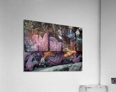 Tidal Pool 7 Acrylic Print