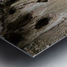 Faces Of The Smokies 4 Metal print