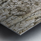 Faces Of The Smokies 3 Metal print