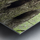 Faces Of The Smokies 2 Metal print