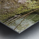 Faces Of The Smokies 1 Metal print