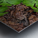 Mayapples 1 Metal print