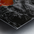 Flamingos Tucked Impression metal