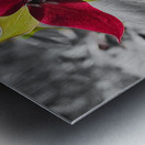 Red Trillium Metal print