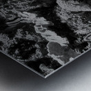 Tropical Fish Metal print