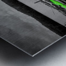 Green Kayak Metal print