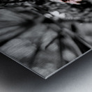 Pinecone Metal print