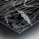 Swallowtail Butterfly Impression metal