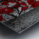 Virginia Creeper Metal print