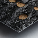 Puffball Mushrooms Impression metal