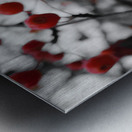 Siberian Crabapple Metal print