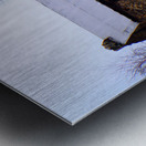 Favorite Farm House Metal print