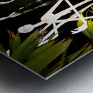 Ghostly Aliens Impression metal