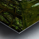 Mt Assisi Garden 2 Metal print