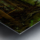 Mt Assisi Garden 1 Metal print