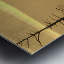 Golden Sunrise Metal print