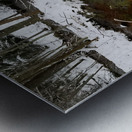 Reitz  2 Lower AMD Metal print