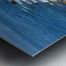 Coastal Maine Impression metal