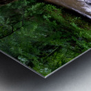 Minister Creek Riffle 1 Metal print