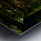 Mt Assisi Garden 3 Metal print