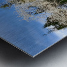 Gallitzin State Forest Metal print