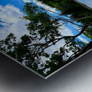 Acadia Landscape Metal print