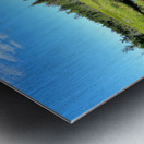 Acadia Wetland Metal print