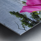 Acadia Point Metal print