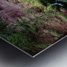 Reitz  2 AMD Metal print