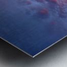 Pink In The Morning Metal print