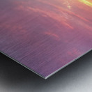 Lake Erie Sunset Metal print