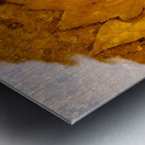 Red Maple Encased In Iron Oxide Impression metal