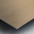 Misty Morning Grazing Metal print