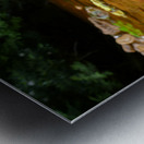 Carnahan Run Impression metal