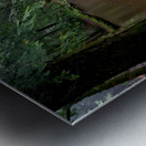 Hemlock Stream Metal print