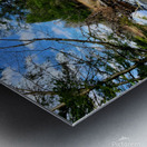 Spring At Clear Shade Creek Metal print