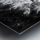 Sequoia Root Wad Impression metal