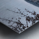 Laurel Ridge Metal print