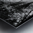 Morning Sunlight Metal print