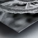 Natural Curl Metal print