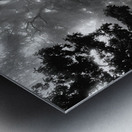 Misty Morning Rays Metal print