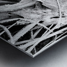 Frosty Oak Leaf Metal print