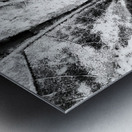 Botanical Shapes Metal print