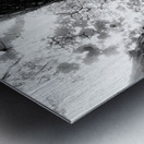 Forest Squad Metal print