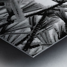 Snowy Conifer 1 Metal print