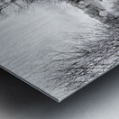 Railroad Metal print