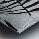 Split Rail Shadows Metal print