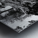 Devils Postpile National Monument Metal print